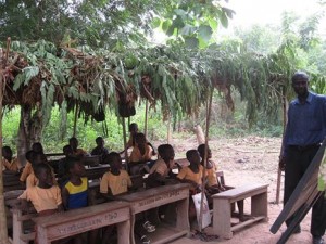 Students studying under a tree